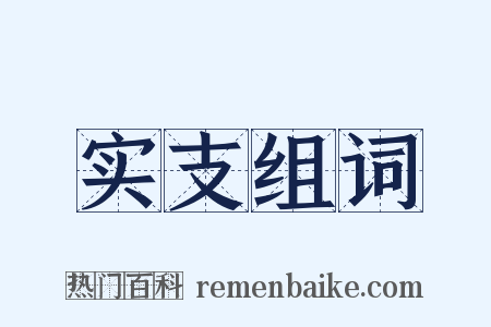 实支组词是什么意思的图片